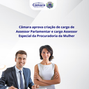 Câmara aprova criação de cargo de Assessor Parlamentar e cargo Assessor Especial da Procuradoria da Mulher