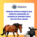 Câmara aprova projeto que permite apreensão de animais de grande porte soltos em vias públicas Câmara aprova projeto que permite apreensão de animais de grande porte soltos em vias públicas
