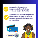 Câmara aprova uso de colar de girassol como forma de identificação de pessoas com deficiências ocultas no município Câmara aprova uso de colar de girassol como forma de identificação de pessoas com deficiências ocultas no município