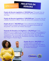 Câmara Municipal de Prata aprova criação de Brigada Municipal dentre outros projetos