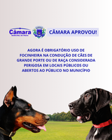 Vereadores aprovam obrigatoriedade de focinheira na condução de cão de grande porte ou de raça considerada perigosa em locais públicos do Prata